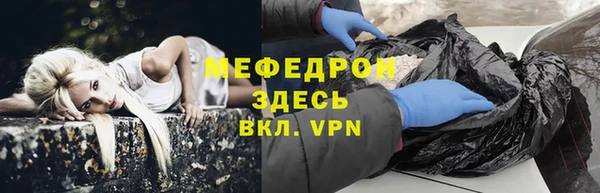 шишки Ельня