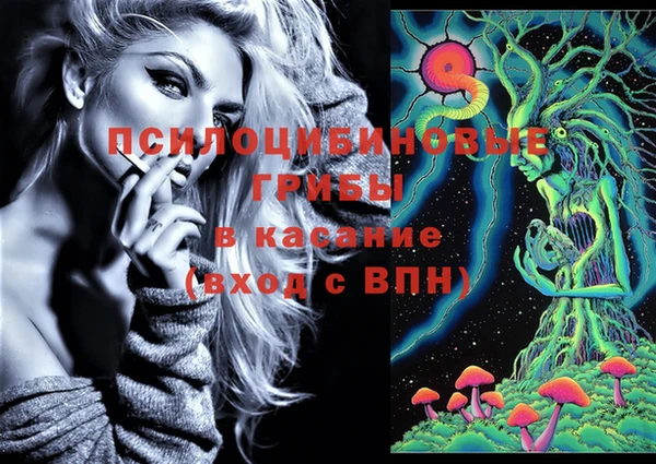 амф Алзамай